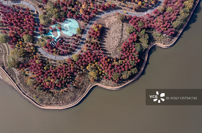 六合大泉湖湿地公园图片素材