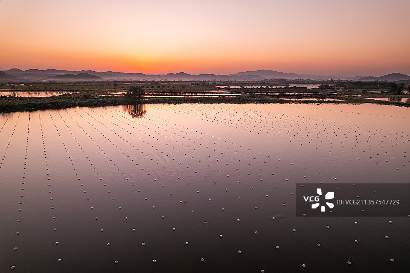 夕阳下的诸暨山下湖珍珠养殖蚌场图片素材