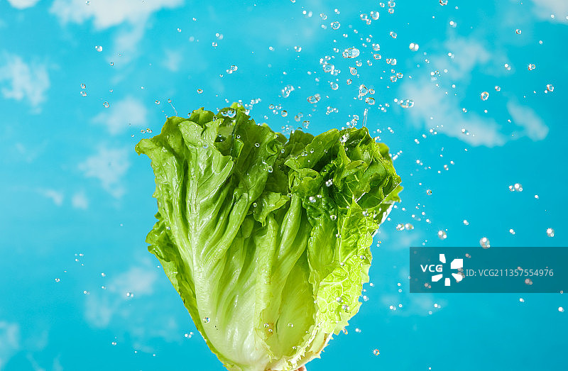 健康饮食蔬菜图片素材