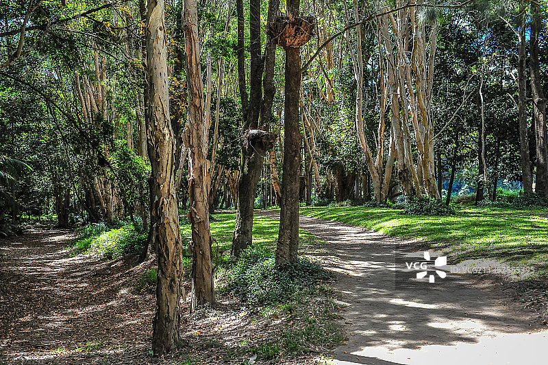 库兰达风光图片素材
