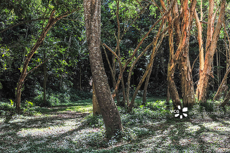 库兰达风光图片素材
