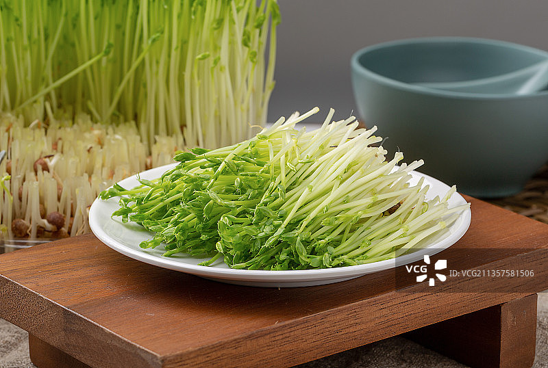 食材：发芽的豆苗图片素材