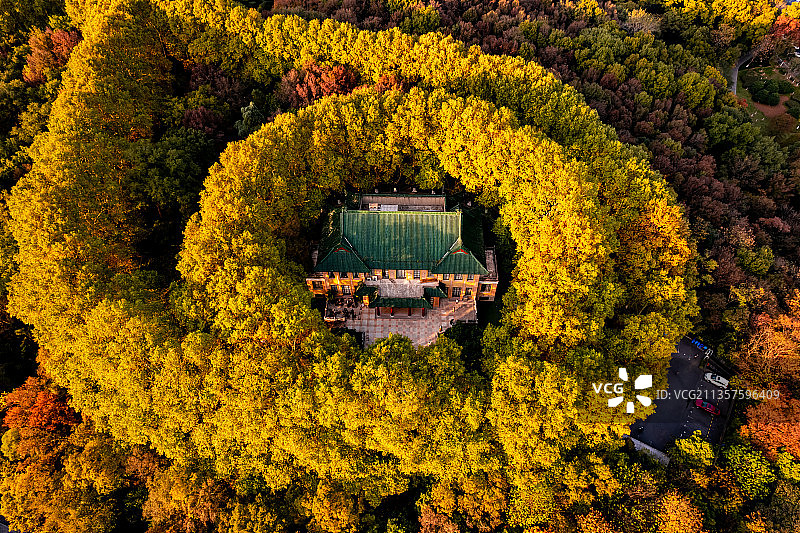 南京紫金山美龄宫的秋景图片素材