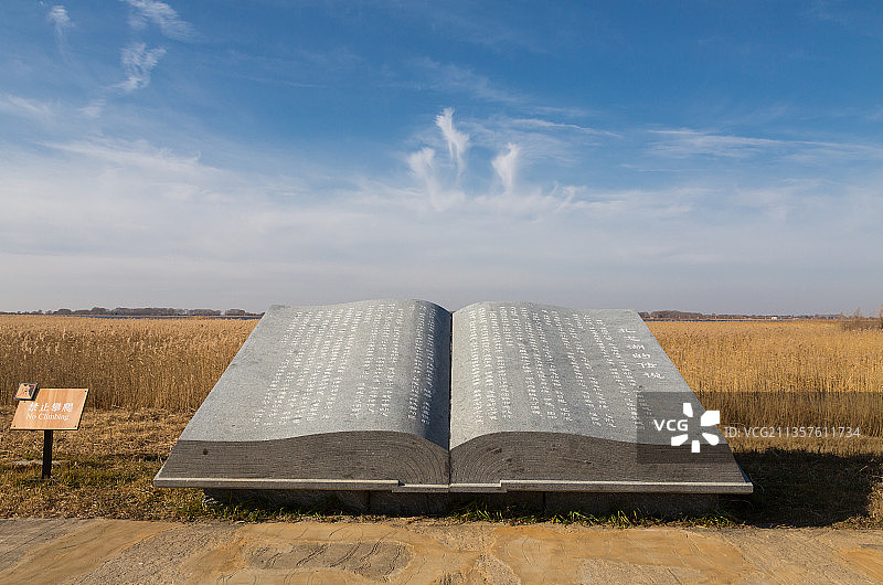 黑龙江省扎龙国家级自然保护区扎龙湖的传输雕塑图片素材