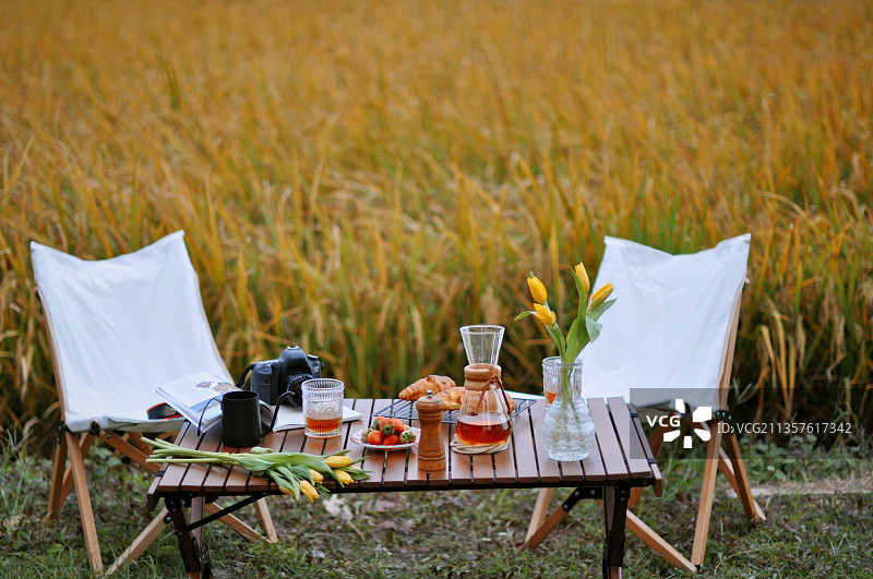 稻田露营图片素材