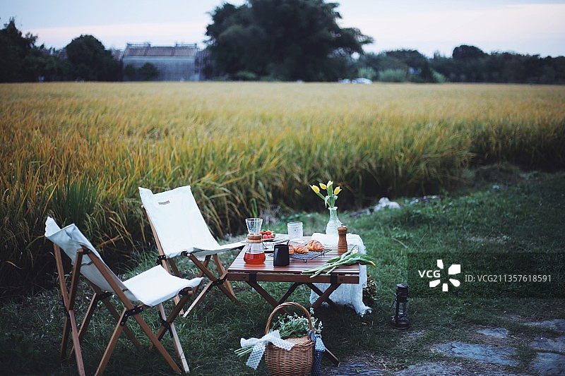 稻田露营图片素材