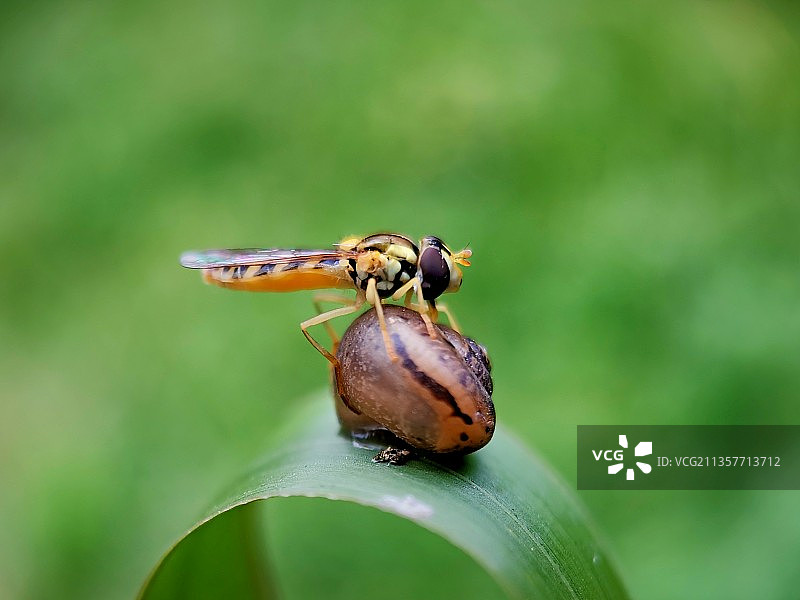 高调与低调图片素材