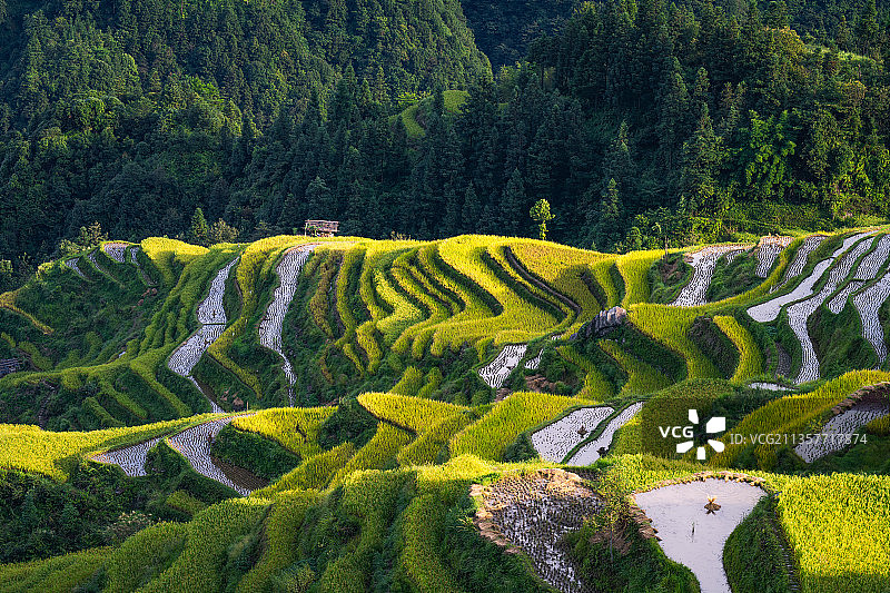中国贵州黔东南从江县加榜梯田图片素材