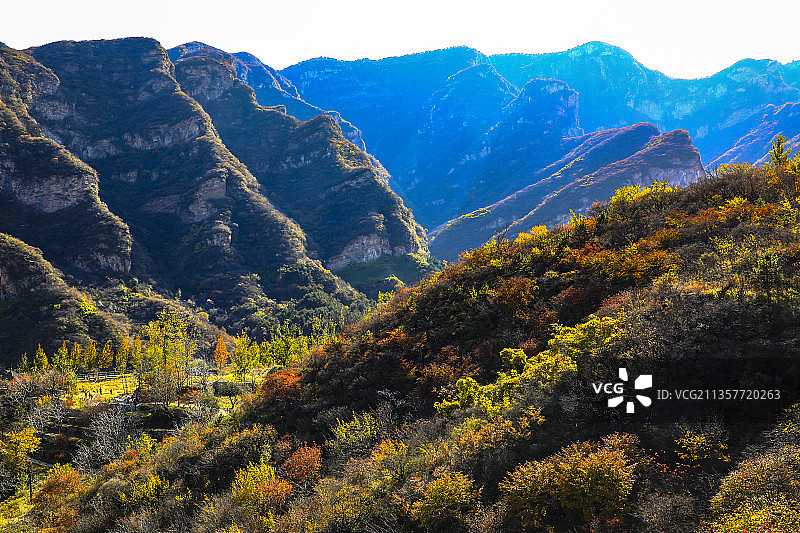 坡峰岭之秋图片素材
