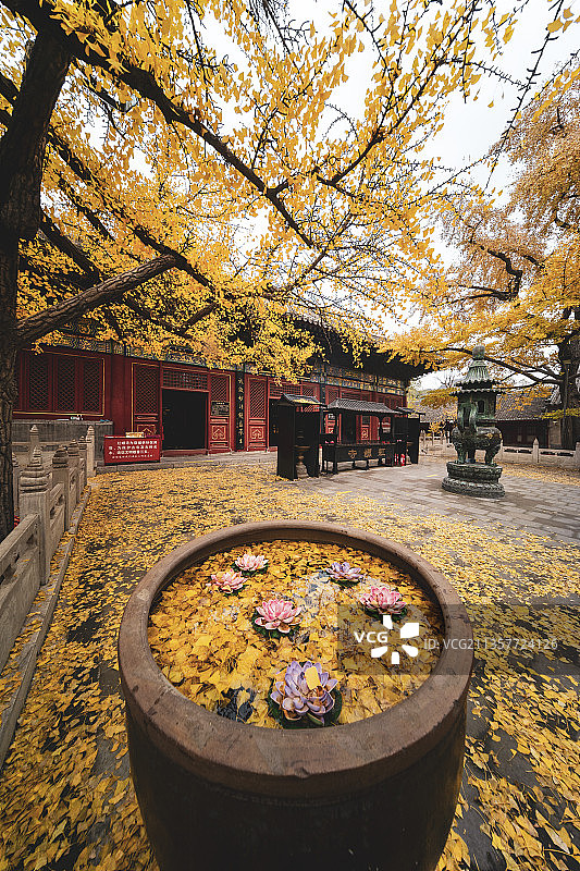 亚洲 中国北京怀柔红螺寺秋景图片素材