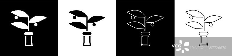 黑色背景上的植物育种图标图片素材