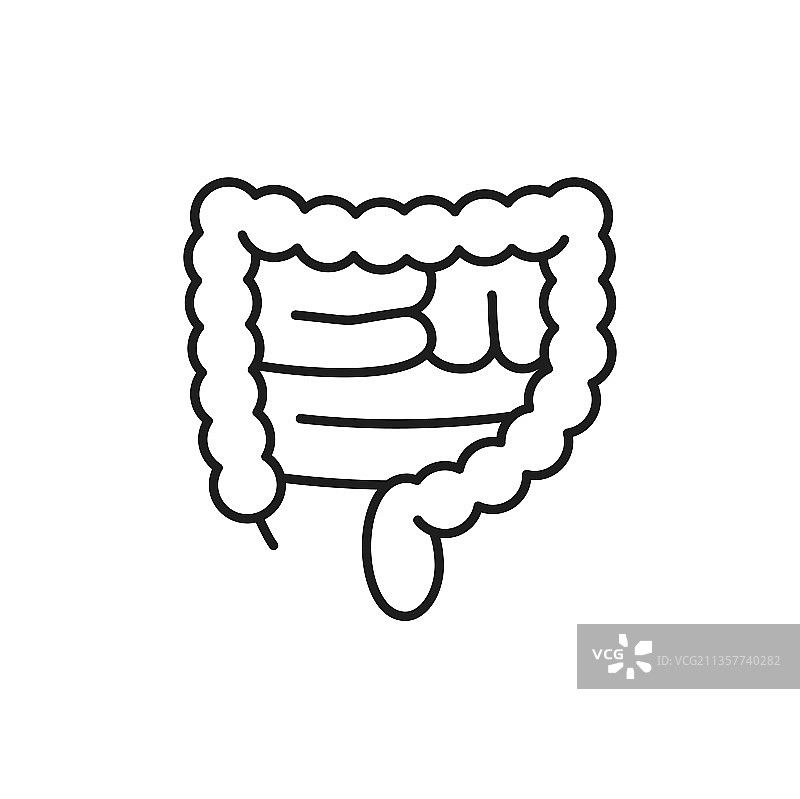 直肠大肠人体器官细线图标图片素材