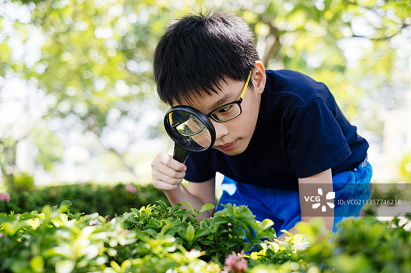 亚洲黑头发书呆子在公园的绿色植物旁用放大镜。未来的科学家。图片素材