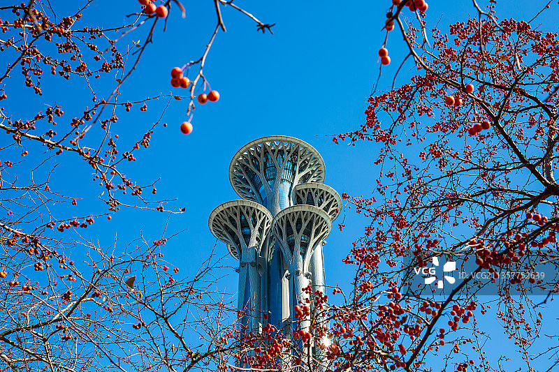 奥林匹克塔秋色图片素材