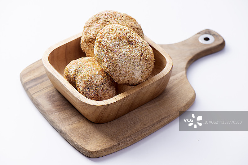 猴头菇图片素材