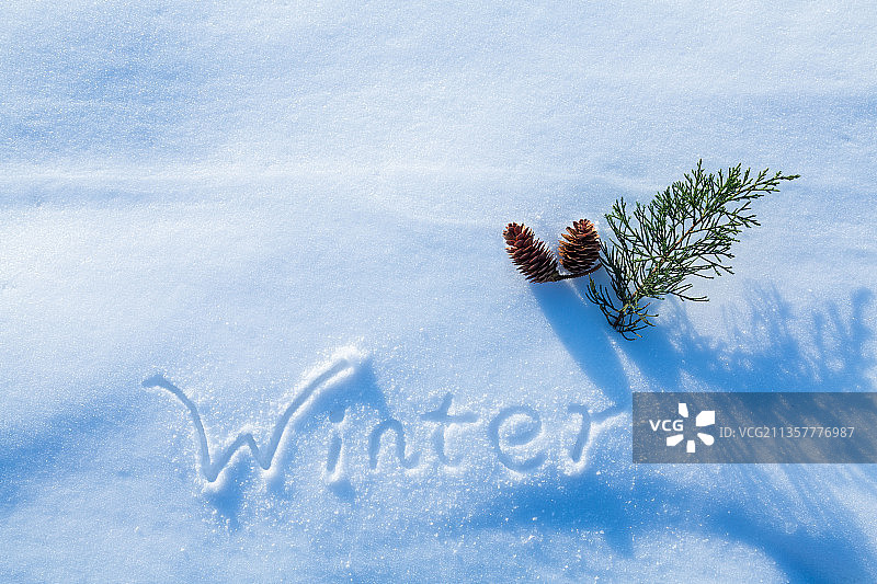 雪地上的winter单词与松枝，松塔，节日主题图片素材