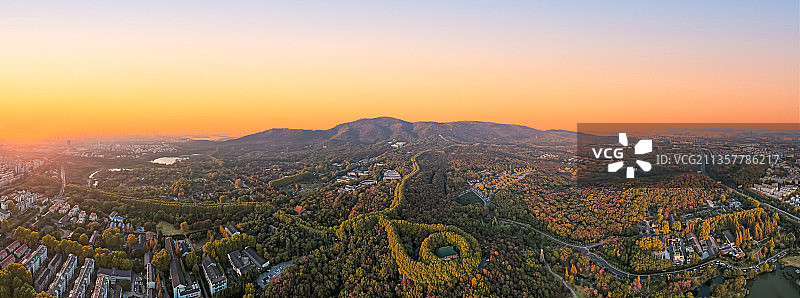 南京紫金山的秋天图片素材