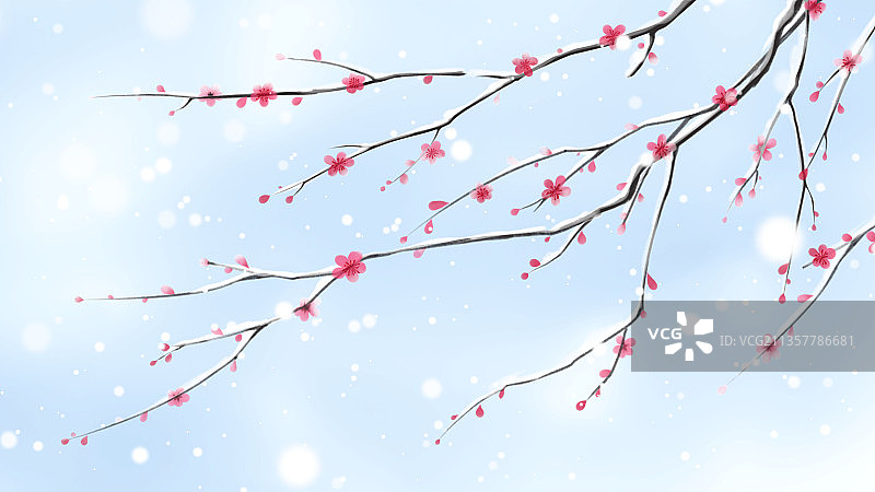红梅映雪/冬季自然美景插画图片素材