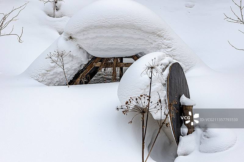 雪乡树林里的雪景图片素材
