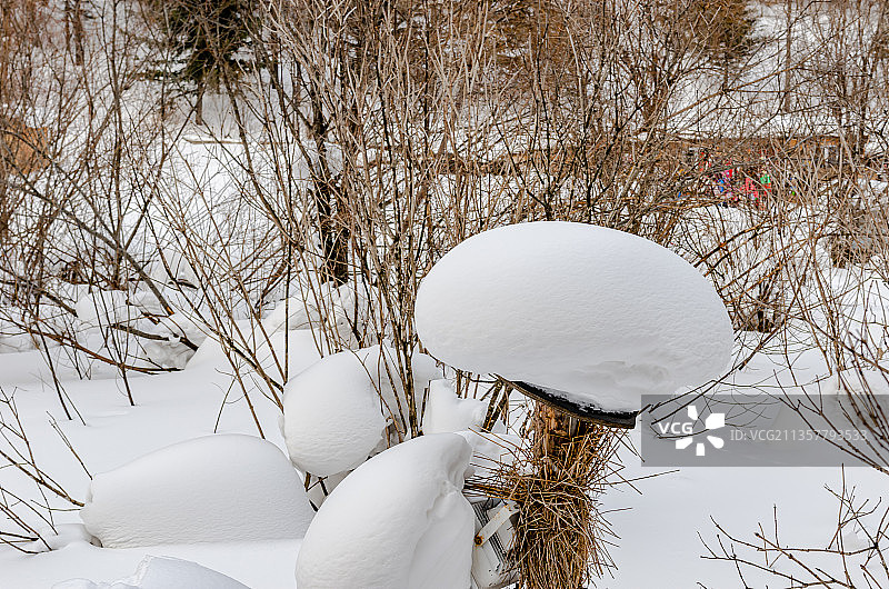 雪乡树林里的雪景图片素材