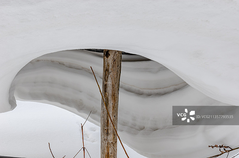 雪乡树林里的雪景图片素材