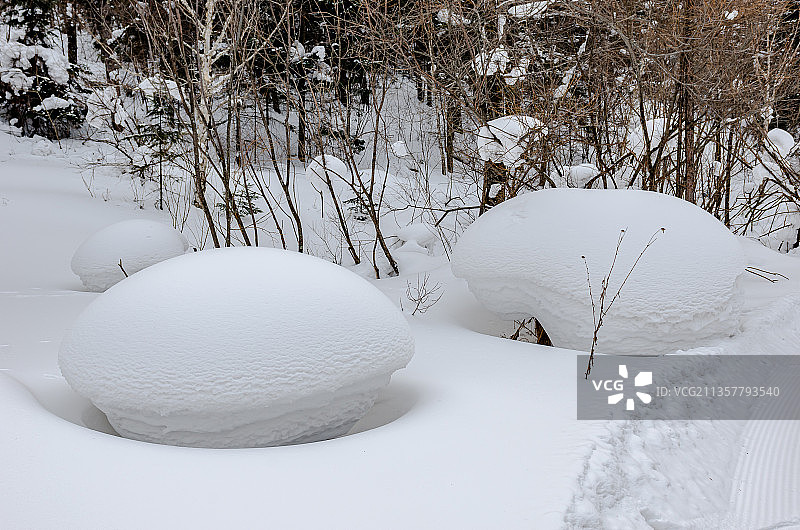 雪乡树林里的雪景图片素材