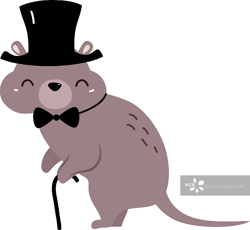 戴着蝴蝶结的有趣的澳洲短尾矮袋鼠图片素材