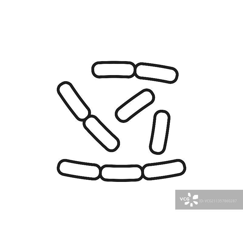 分离的乳酸杆菌益生菌微生物图片素材