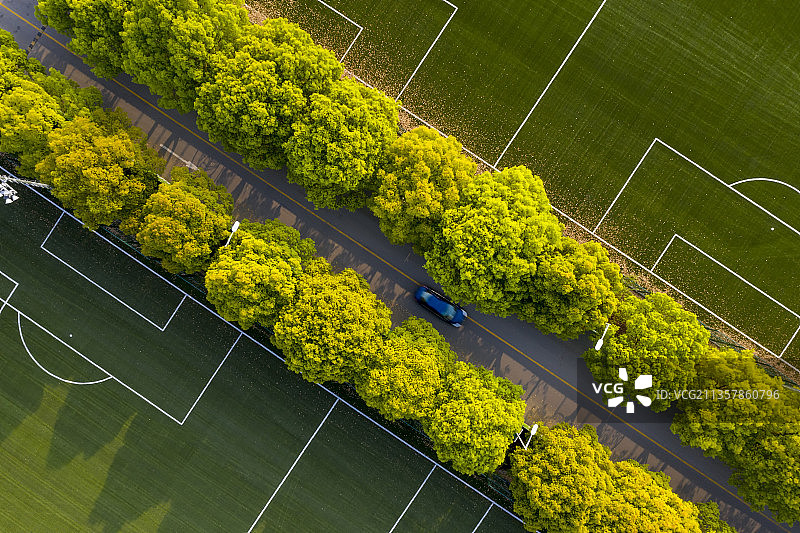 上海体育学院足球场图片素材