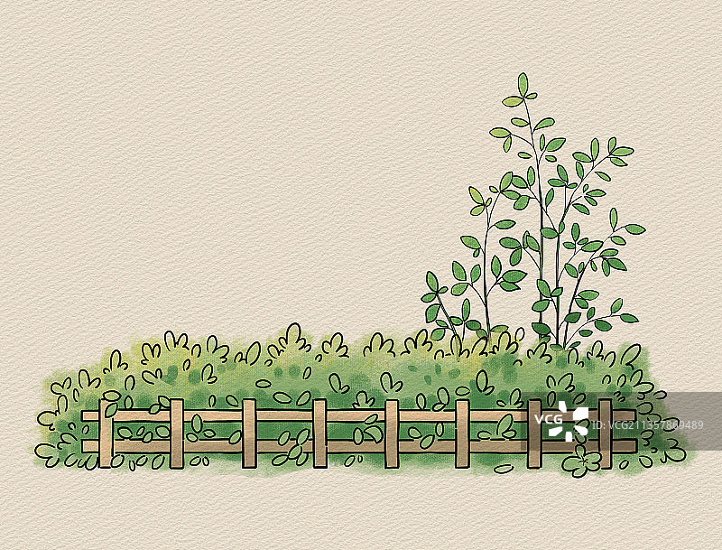 清新线条插画篱笆边的小植物图片素材