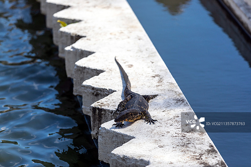 斯里兰卡康提佛牙寺图片素材
