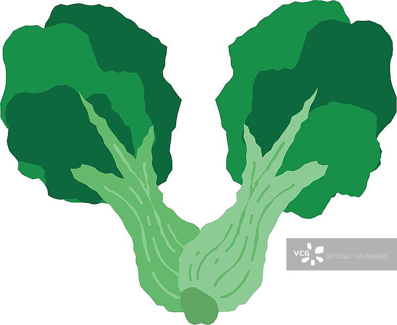 蔬菜形字母V图片素材
