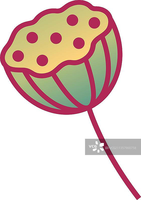 莲子的头图片素材