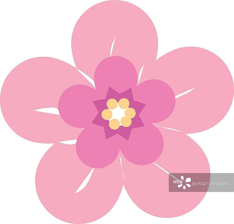 樱花的花图片素材