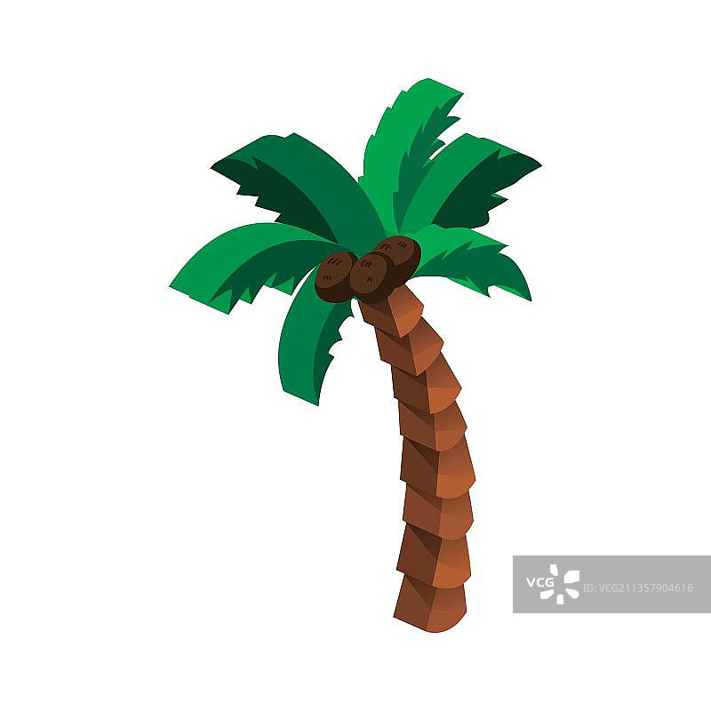 棕榈树图片素材