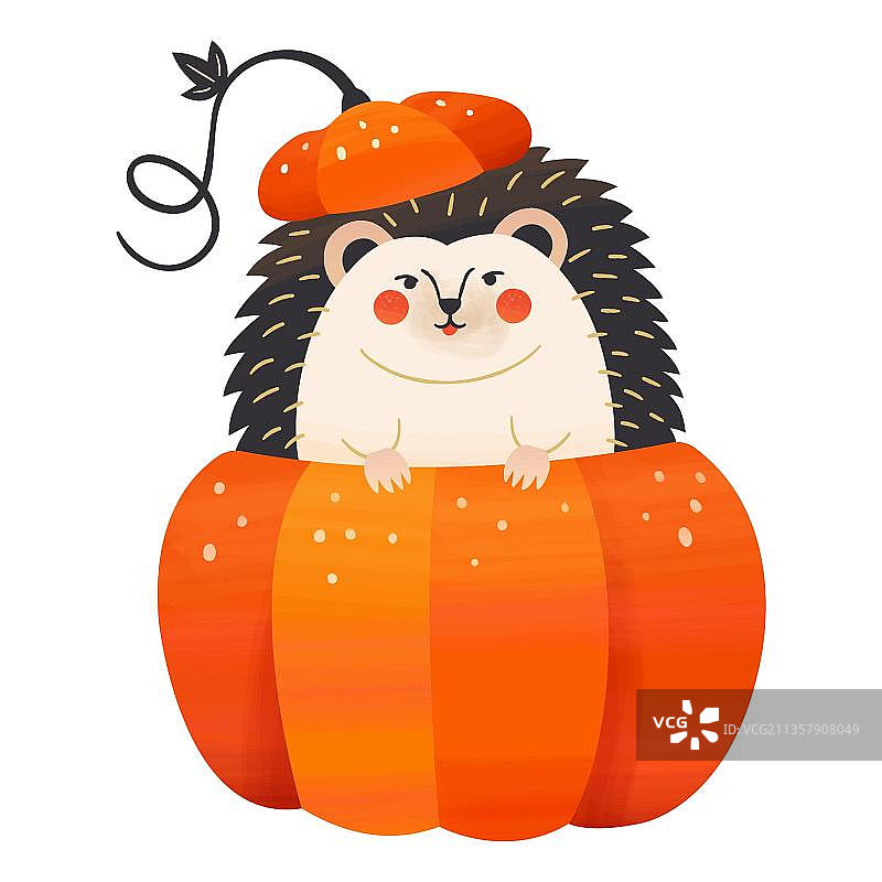 南瓜里的刺猬，秋天的概念图片素材