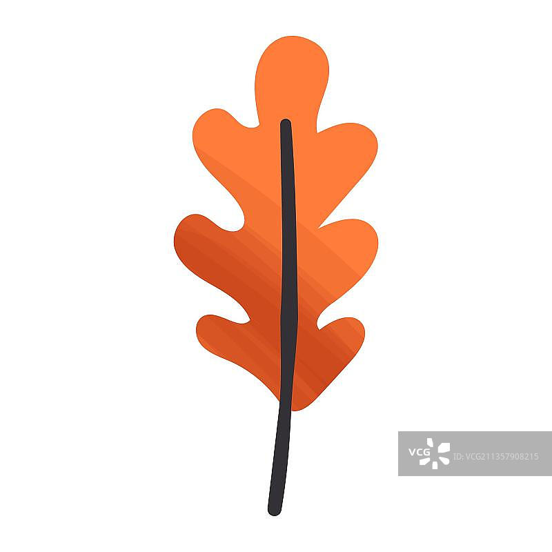 秋天橡树叶子图片素材