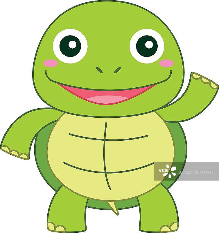 绿海龟图片素材