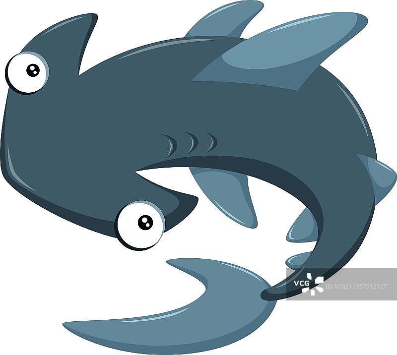 深灰色的鲨鱼图片素材