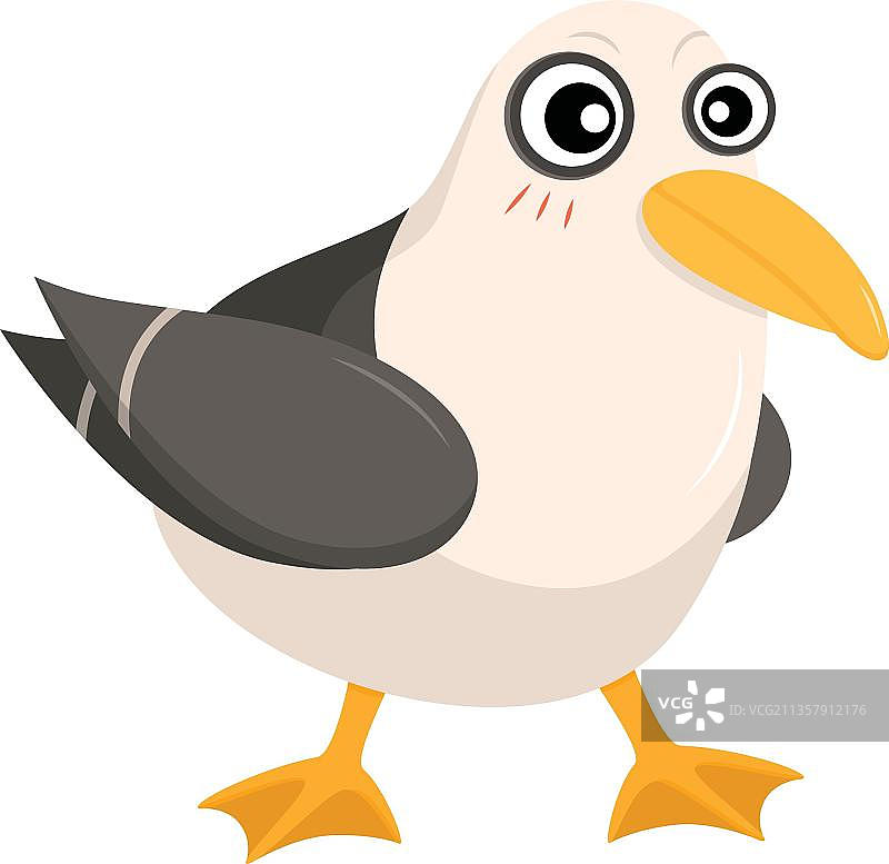 可爱的鸭子图片素材