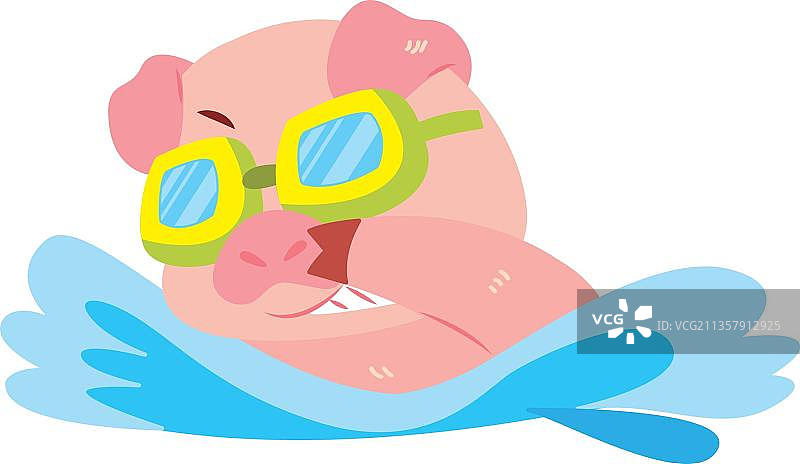 游泳的猪图片素材