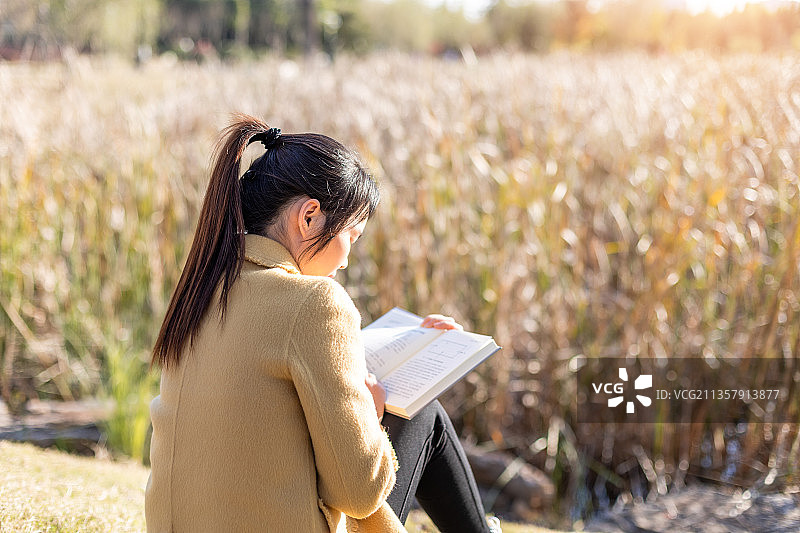 秋天午后年轻女性坐在芦苇荡旁边的草地上看书图片素材