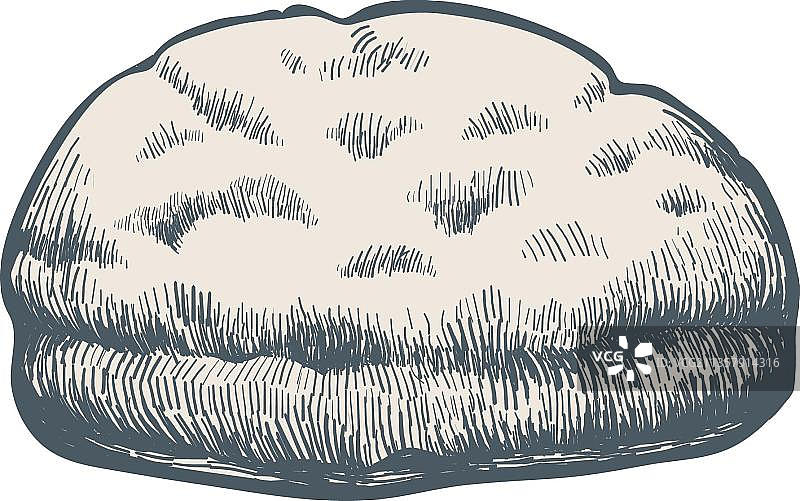 好菠萝图片素材