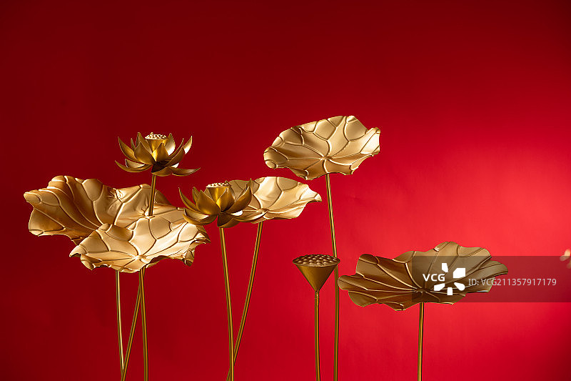 黄金荷花图片素材