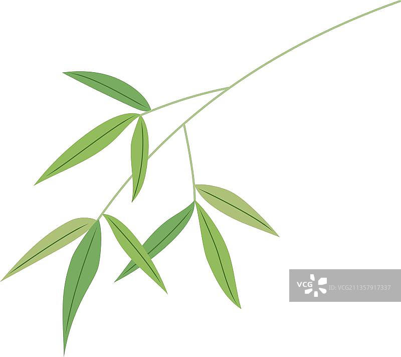 竹叶枝图片素材