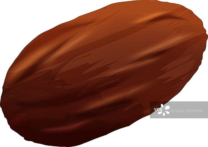 枣椰树图片素材