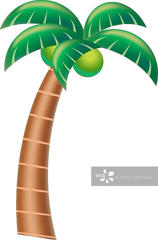棕榈树图片素材