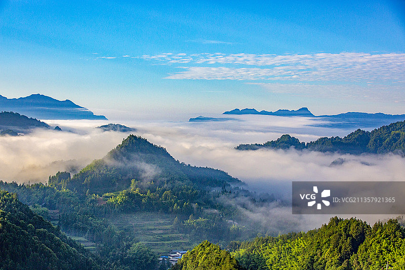 云海茶茶海新村图片素材