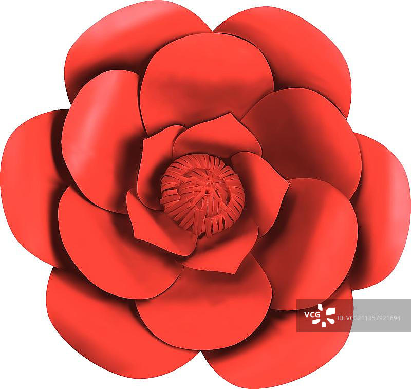 红纸的花图片素材