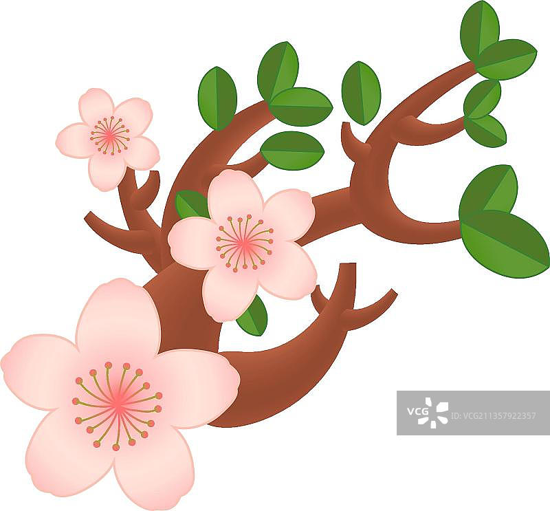 浅粉梅花图片素材